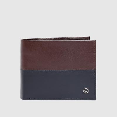 Men Brown & Navy Blue Colourblocked Genuine Leather Two Fold Wallet